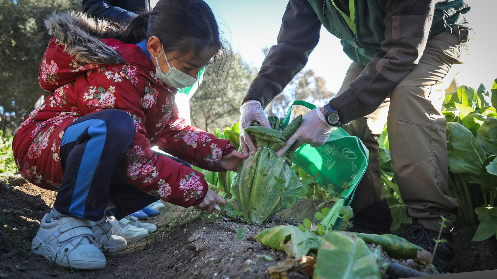 Huerto ecológico y educativo en Los Marianistas