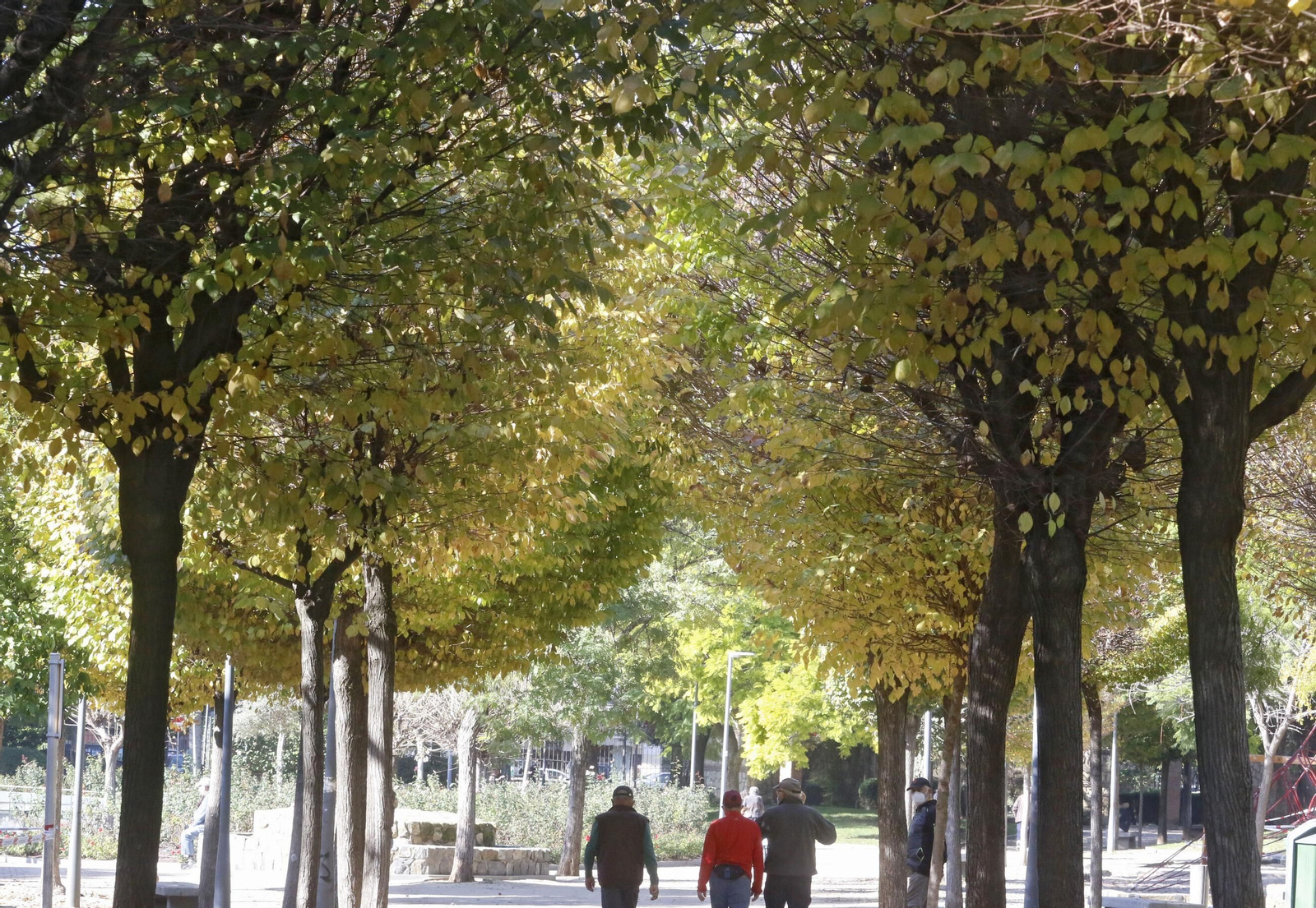 Varias personas caminan por un parque en otoño en Córdoba.