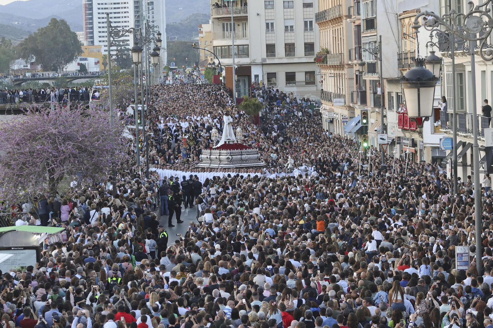 Cautivos en el Lunes Santo de Málaga, en fotos