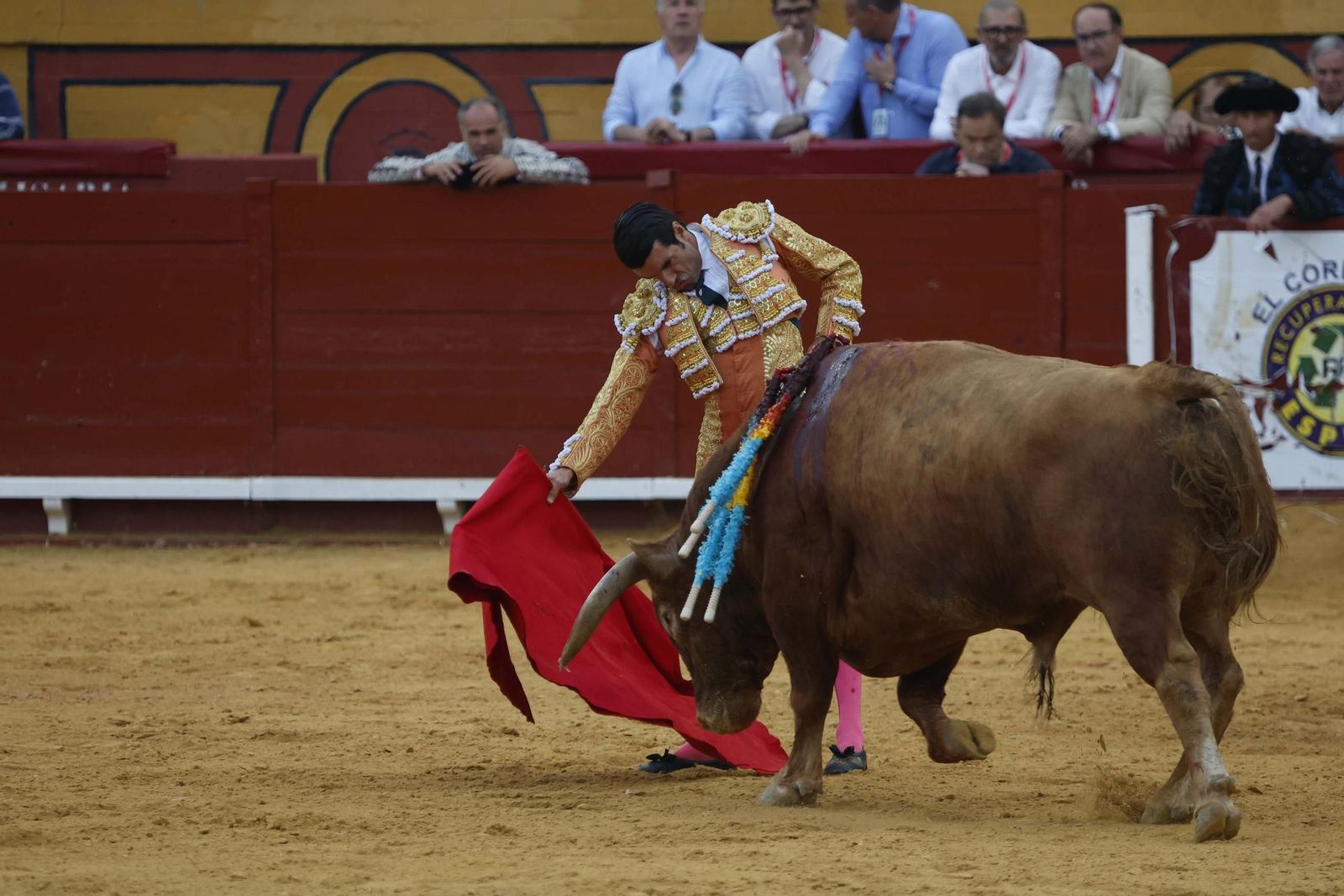 Fotos de la brava corridade La Palmosilla con Emilio de Justo, Borja Jiménez y David de Miranda