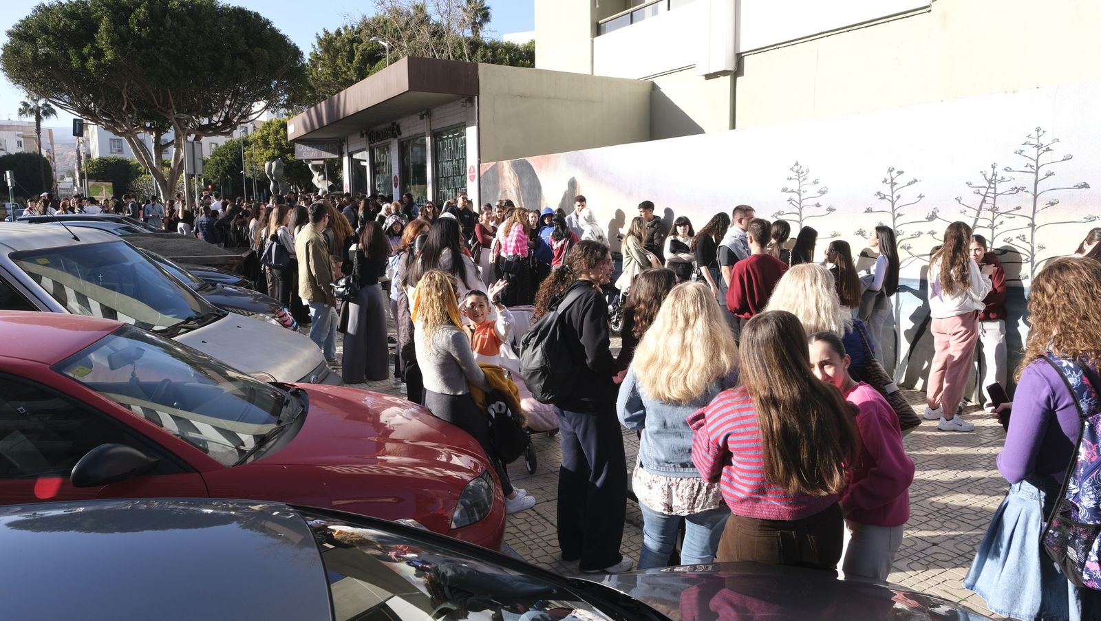 Colas interminables y tartas a un euro: la mejor 'cheesecake' de Almería conquista el centro de la ciudad