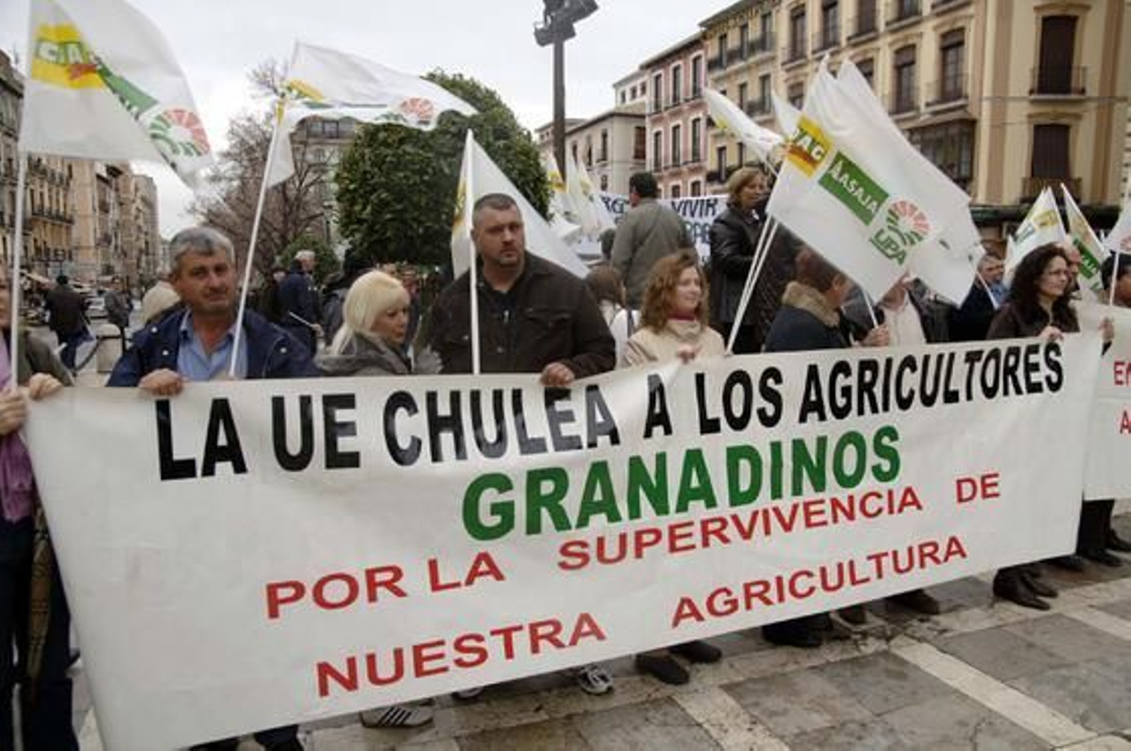 Agricultores y ganaderos, concentrados en Plaza Nueva

Foto: Patri Díez