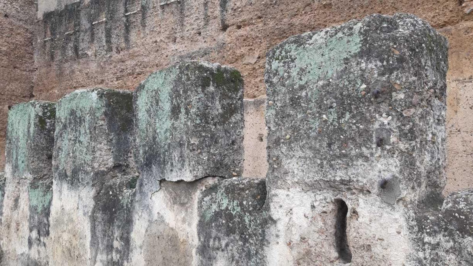 Merlones de la barbacana.