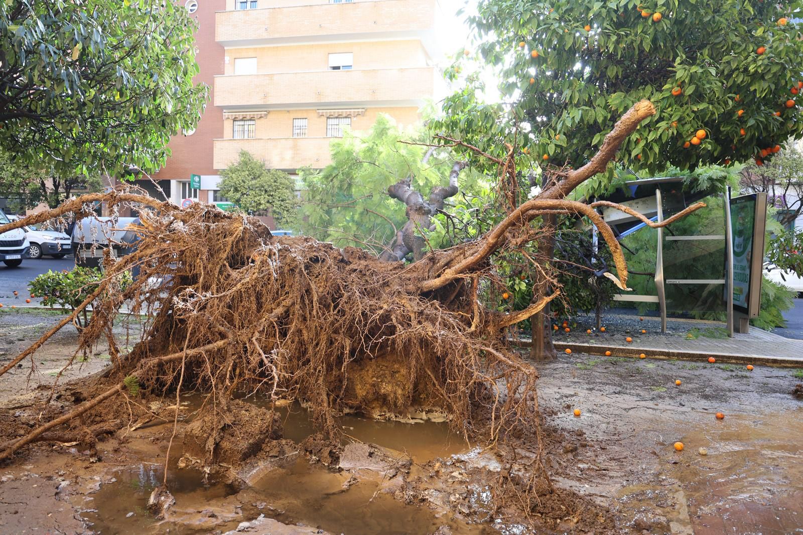 Fotografías de las incidencias de la borrasca Joseph durante la mañana