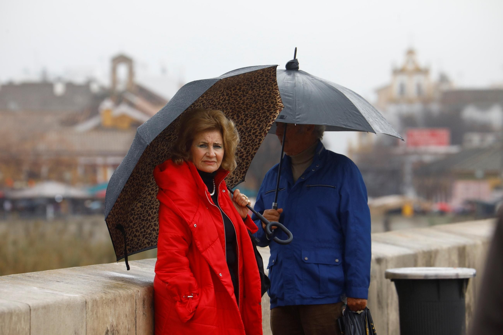 El paso de la borrasca Herminia por Córdoba, en imágenes