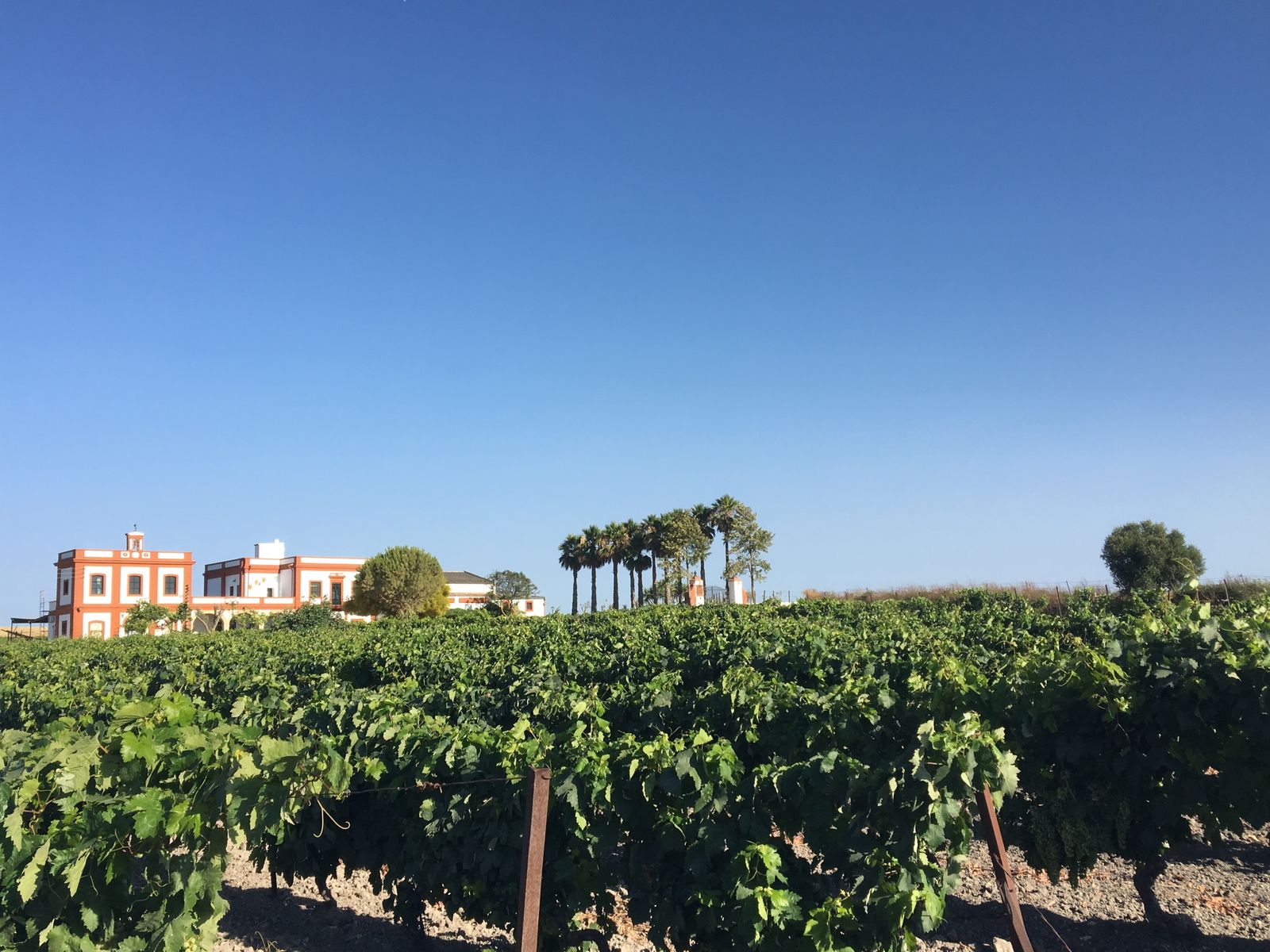 Una imagen de la casa de viña La Bendita Locura.