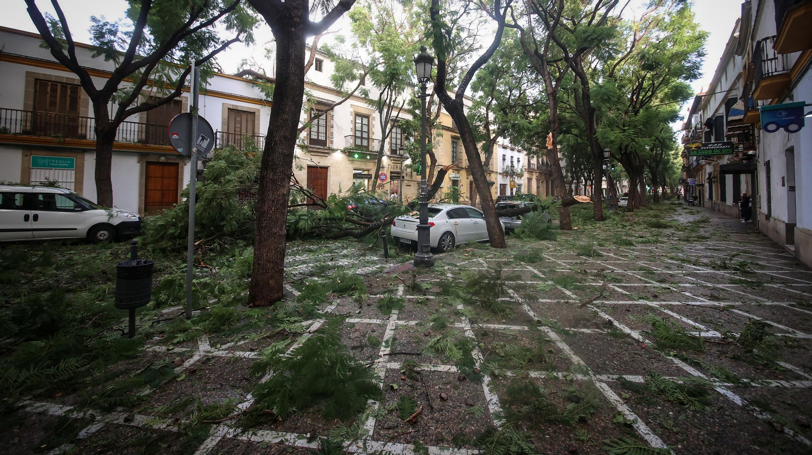 Caos en Jerez por los destrozos del temporal de viento