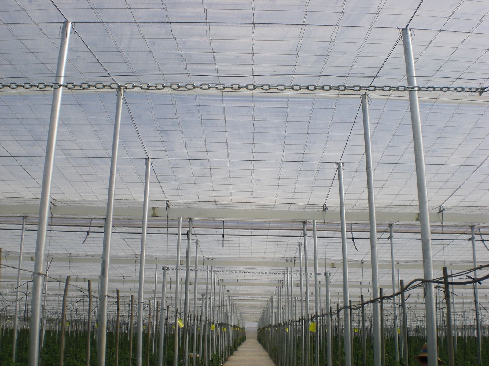 En estos momentos el plástico de cubierta del invernadero le supone al agricultor un 21% más, y un 47% más que hace un año.