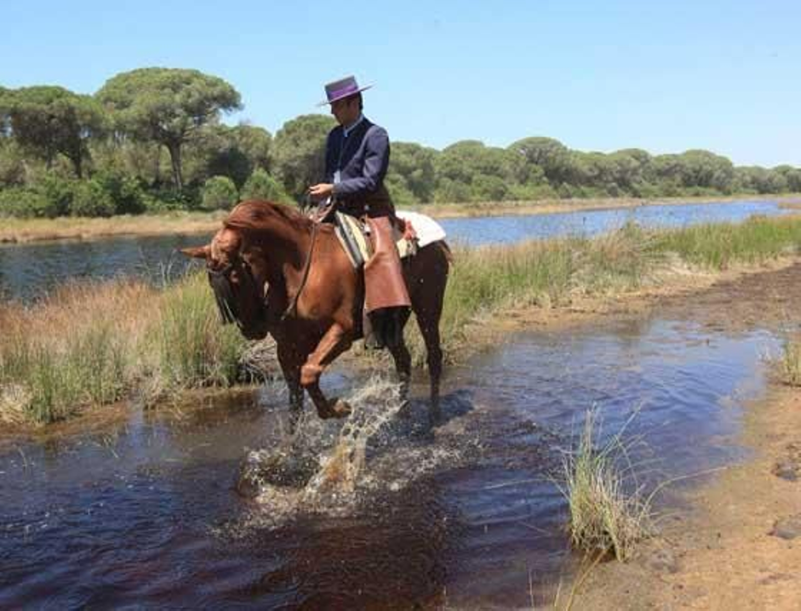 Un caballista pasando por la laguna del Carrizal.

Foto: Juan Carlos Toro