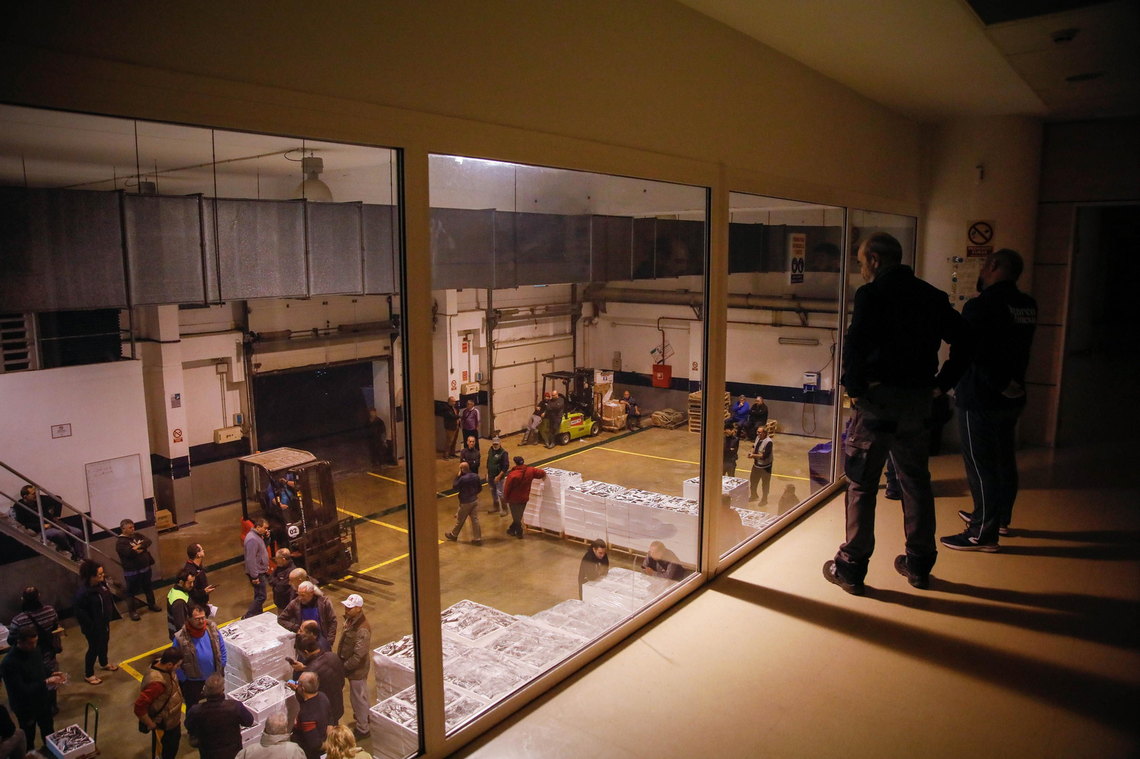 Te contamos en imágenes como ha sido la descarga de las traiñas en la lonja de Almería