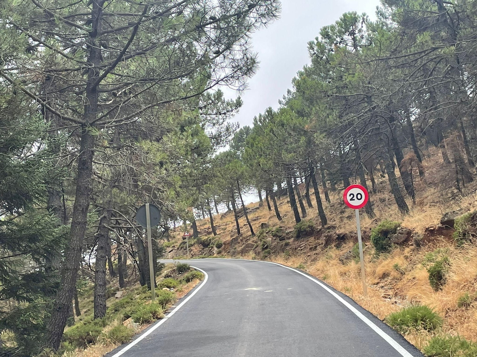 El camino de acceso a Los Reales de Sierra Bermeja tras las obras de mejora.