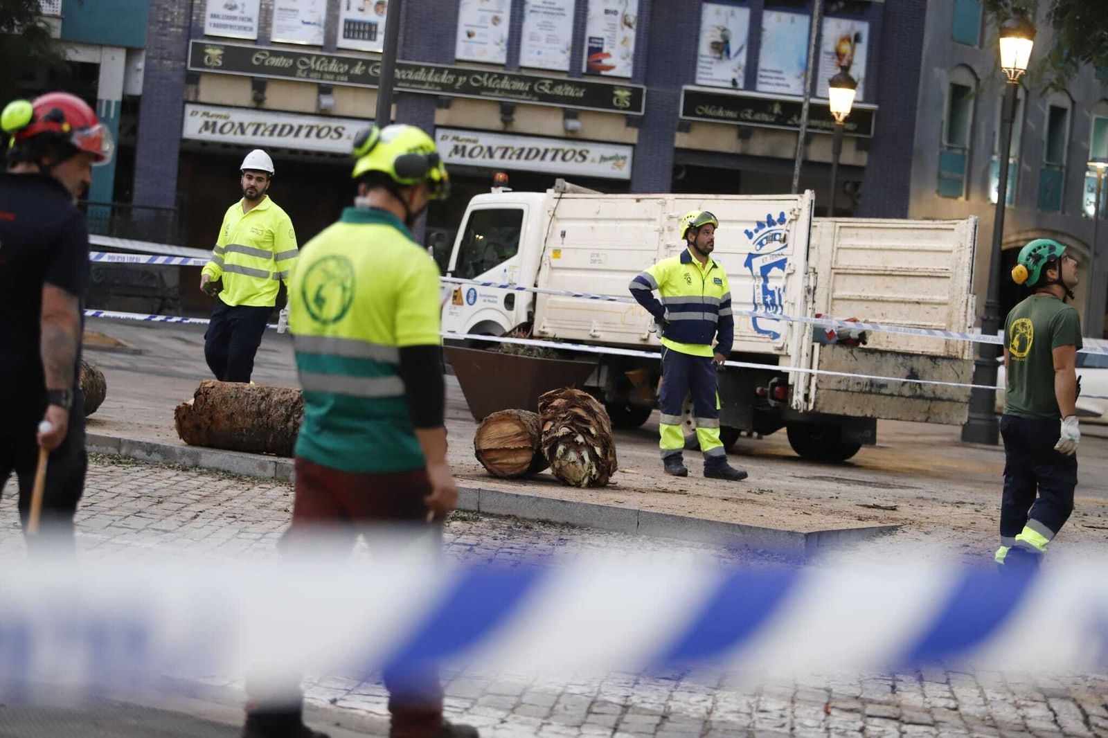Las imágenes de la tala de la emblemática Palmera de Huelva