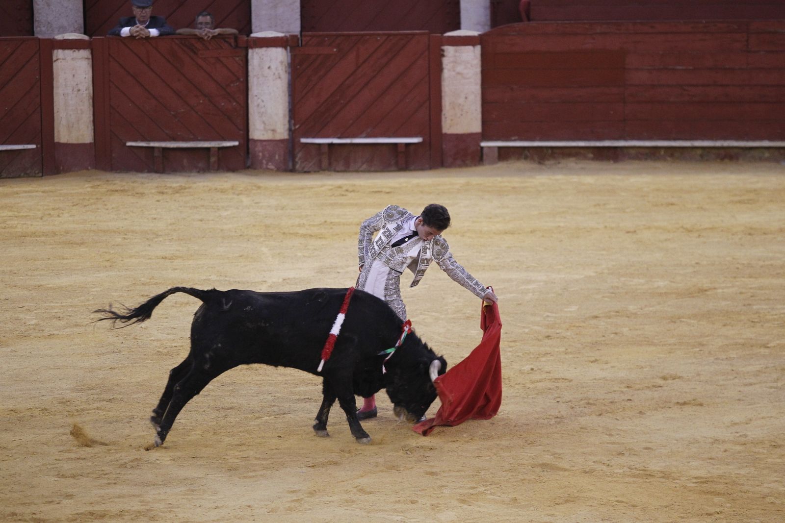Fotogalería novillada Escuela Taurina de Almería. Feria de Almería 2019
