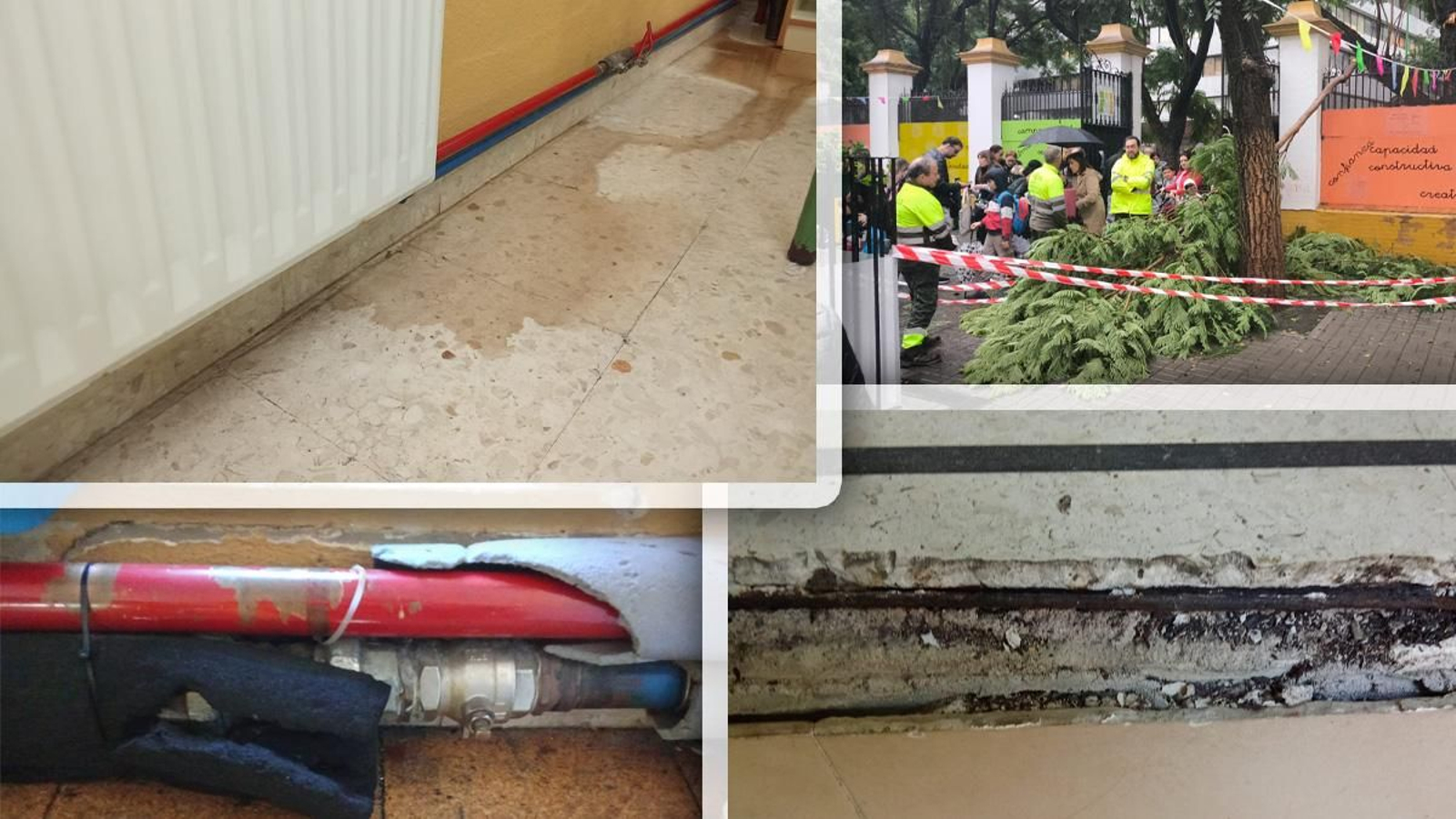 Filtraciones, roturas y caídas de ramas de árboles que sufre el CEIP Borbolla.