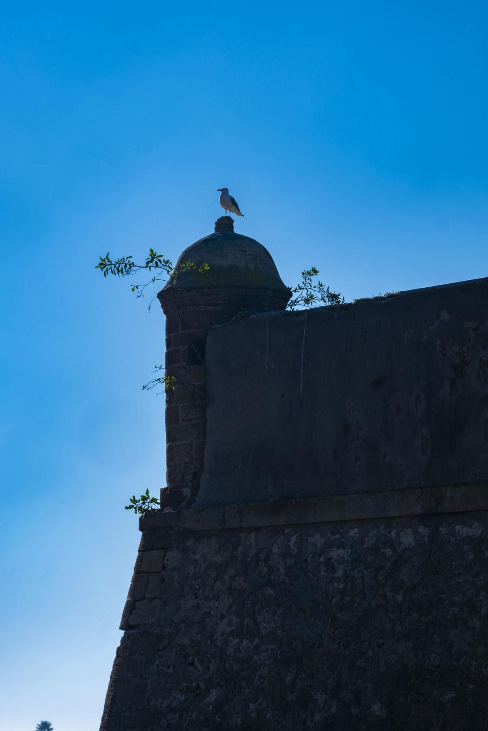 Castillo de Santa Catalina