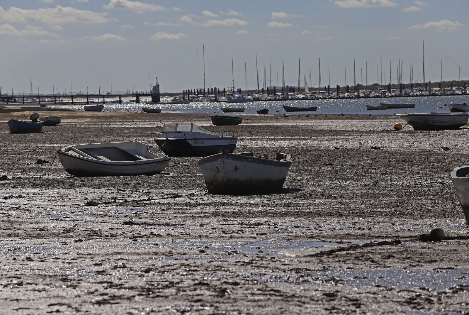 Imágenes de las playas de Huelva en el sábado 15 de agosto