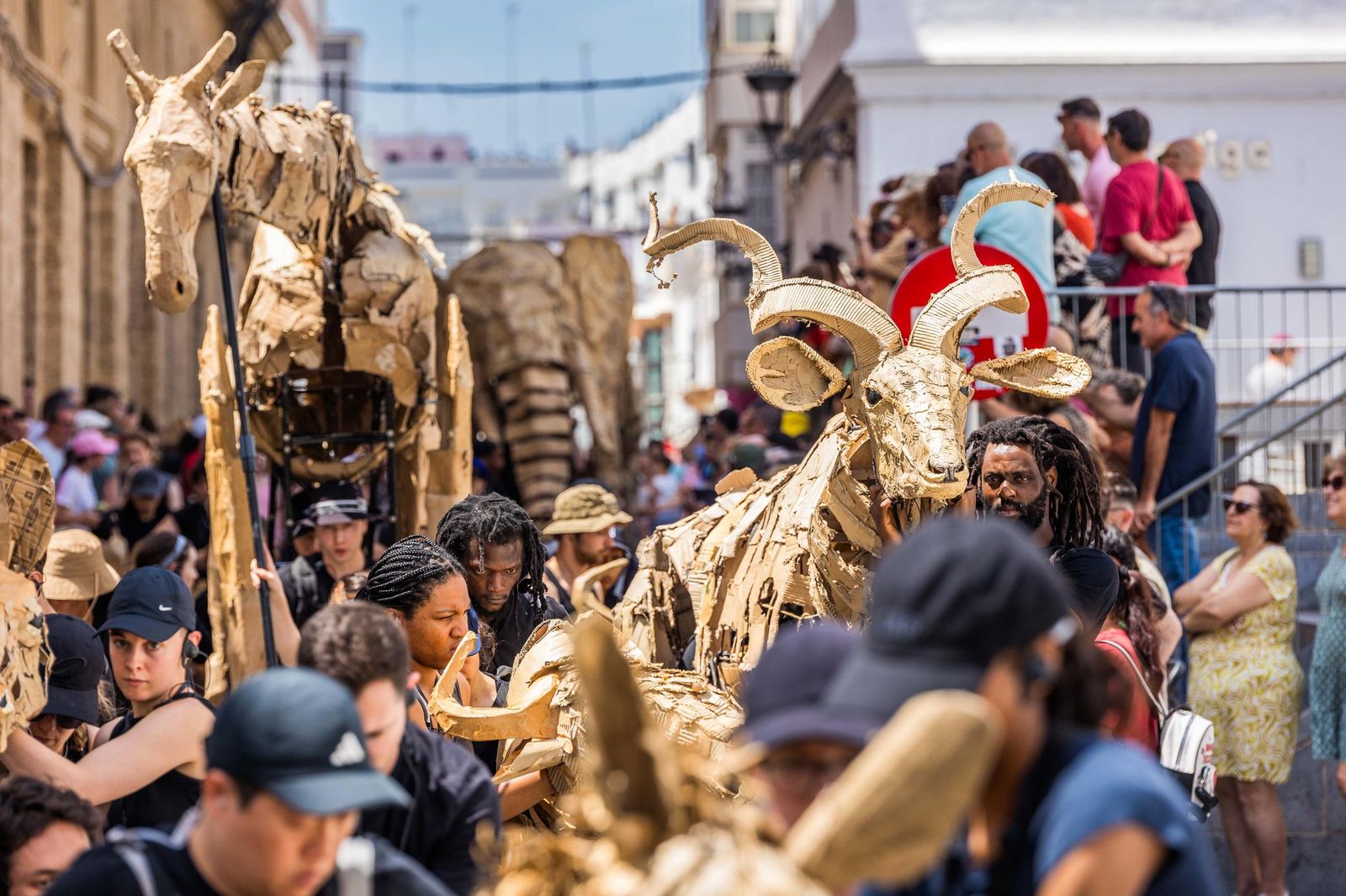 Las imágenes de 'La estampida' en San Fernando