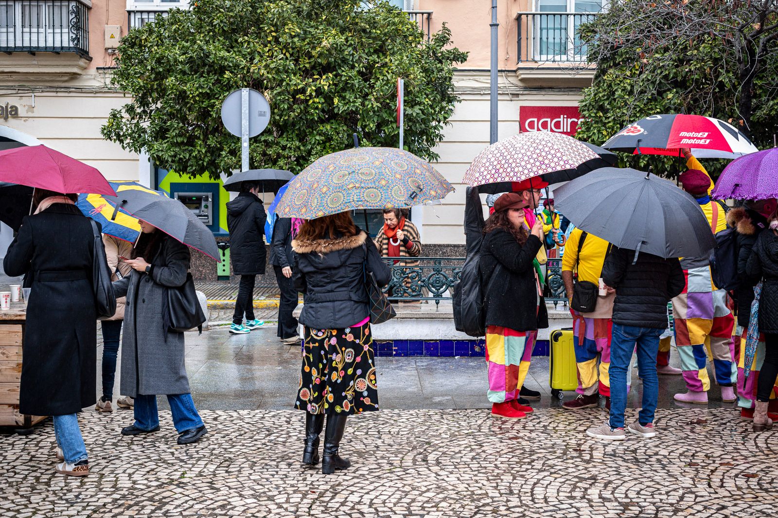 Búscate entre las mejores imágenes que ha dejado la Ostionada Popular