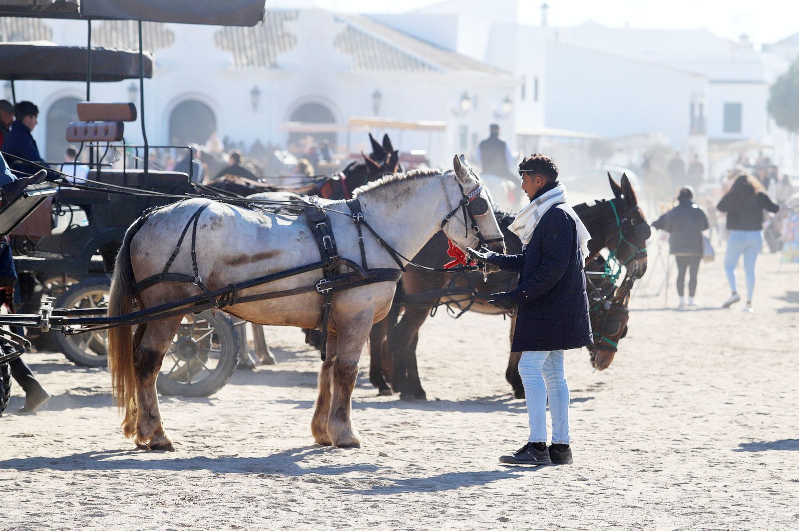Imágenes del ambiente previo a la celebración de la Candelaria en El Rocío