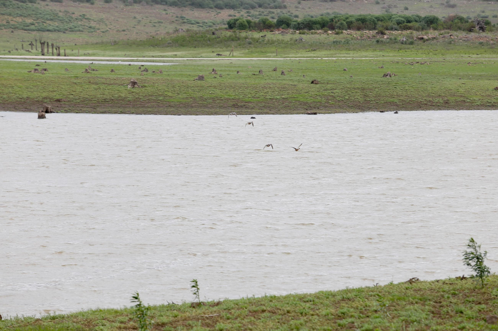 Las fotos del embalse de Charco Redondo tras la última DANA