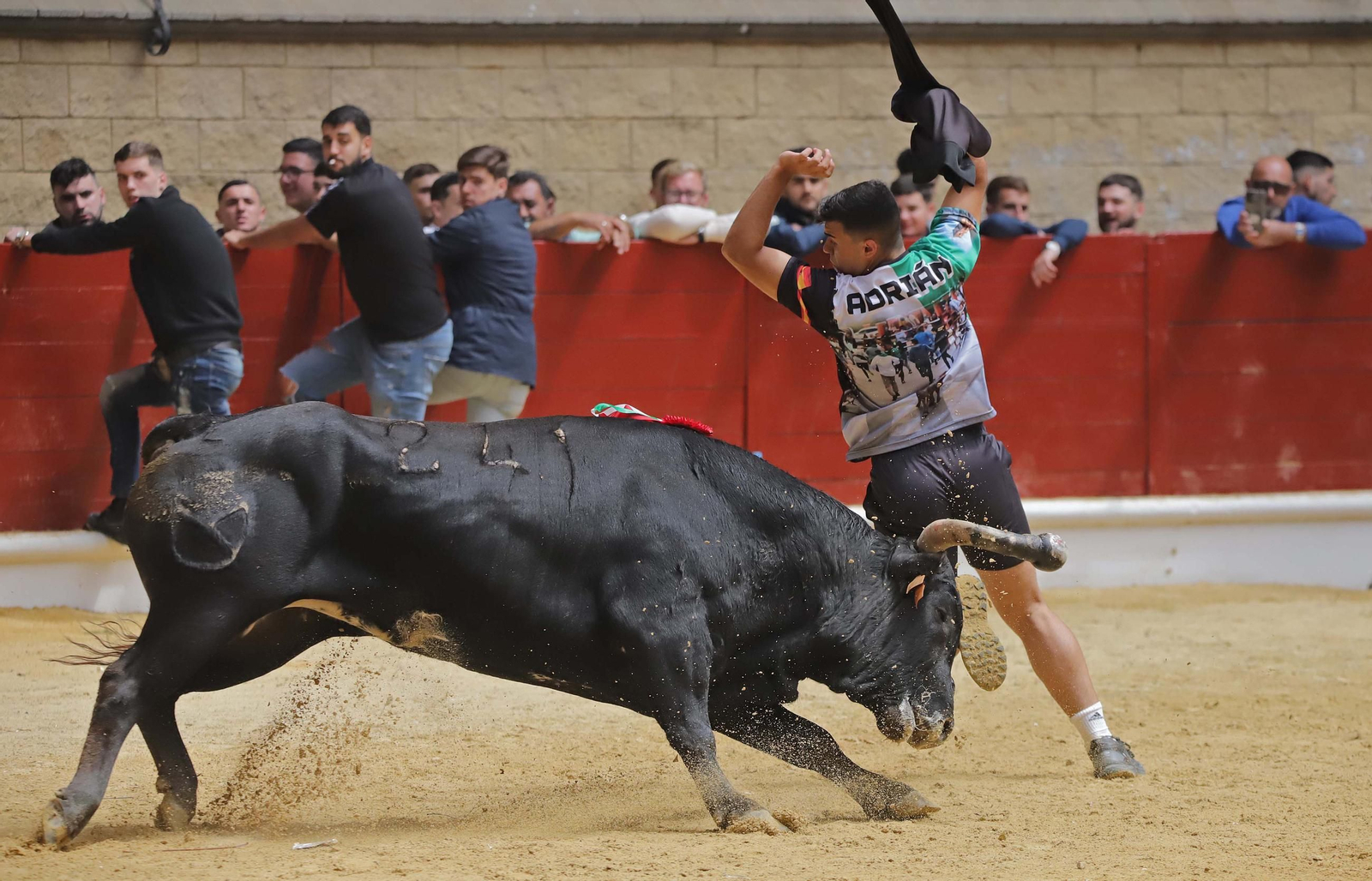 Fotos de los encierros del domingo del Toro Embolao en Los Barrios