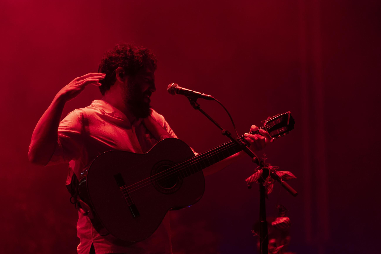 Imágenes de los conciertos del viernes 2 de agosto en No Sin Música de Cádiz Imágenes de los conciertos del viernes 2 de agosto en No Sin Música de Cádiz