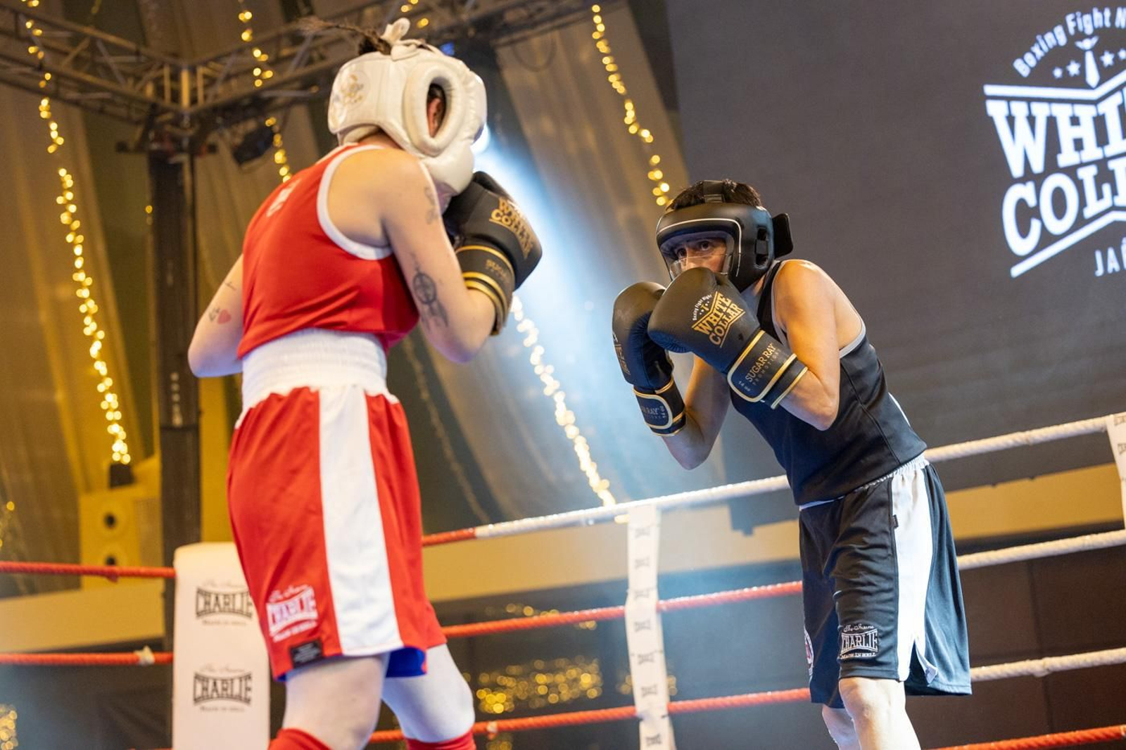 El boxeo solidario de la VI velada White Collar Boxing cautiva al público de Jaén