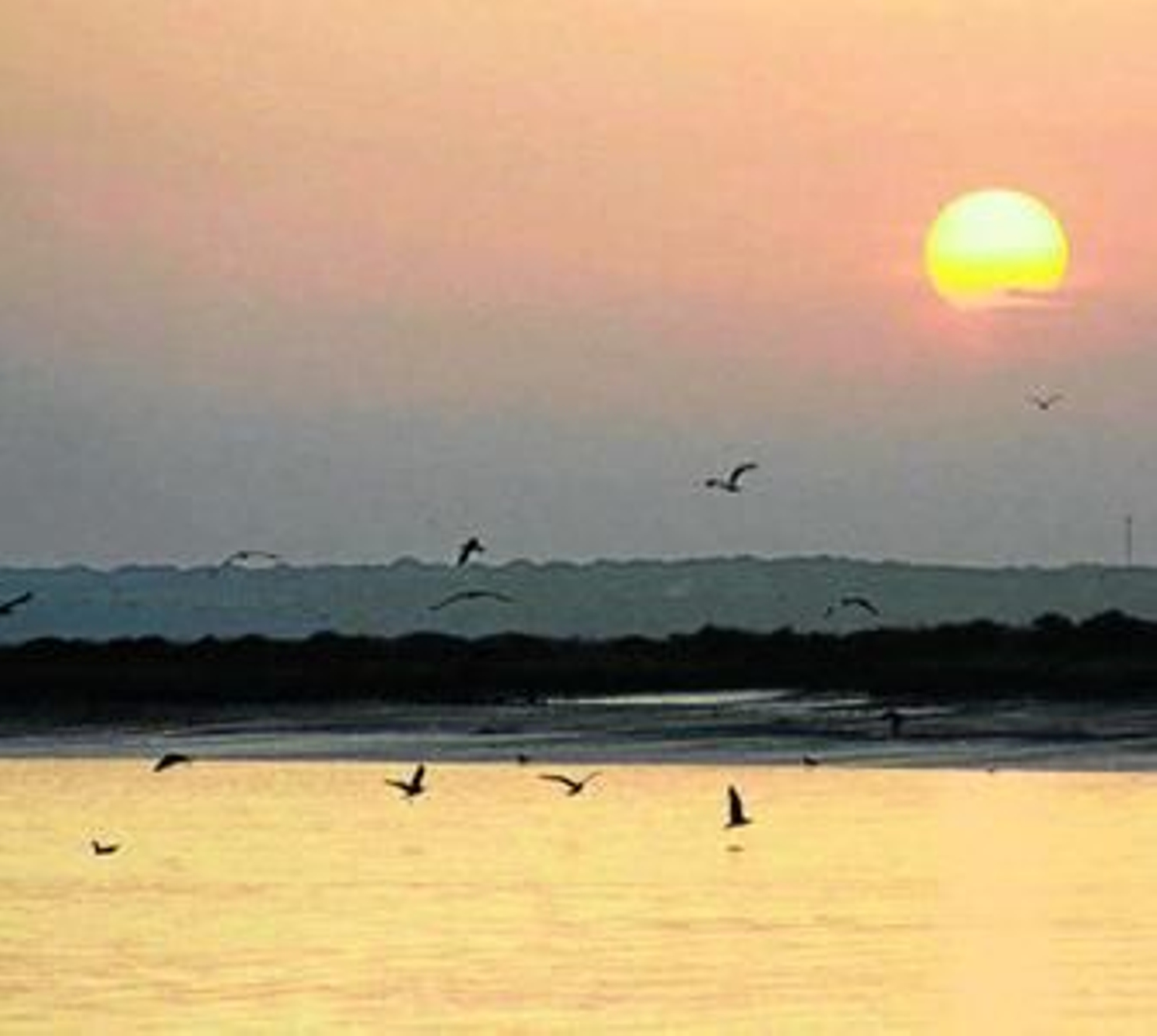 Un atardecer a bordo de un barco
