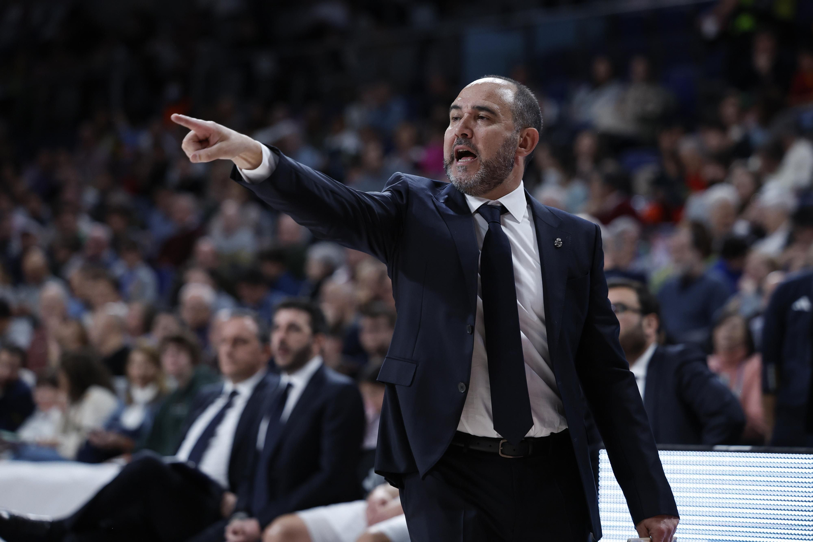 Chus Mateo, esta temporada