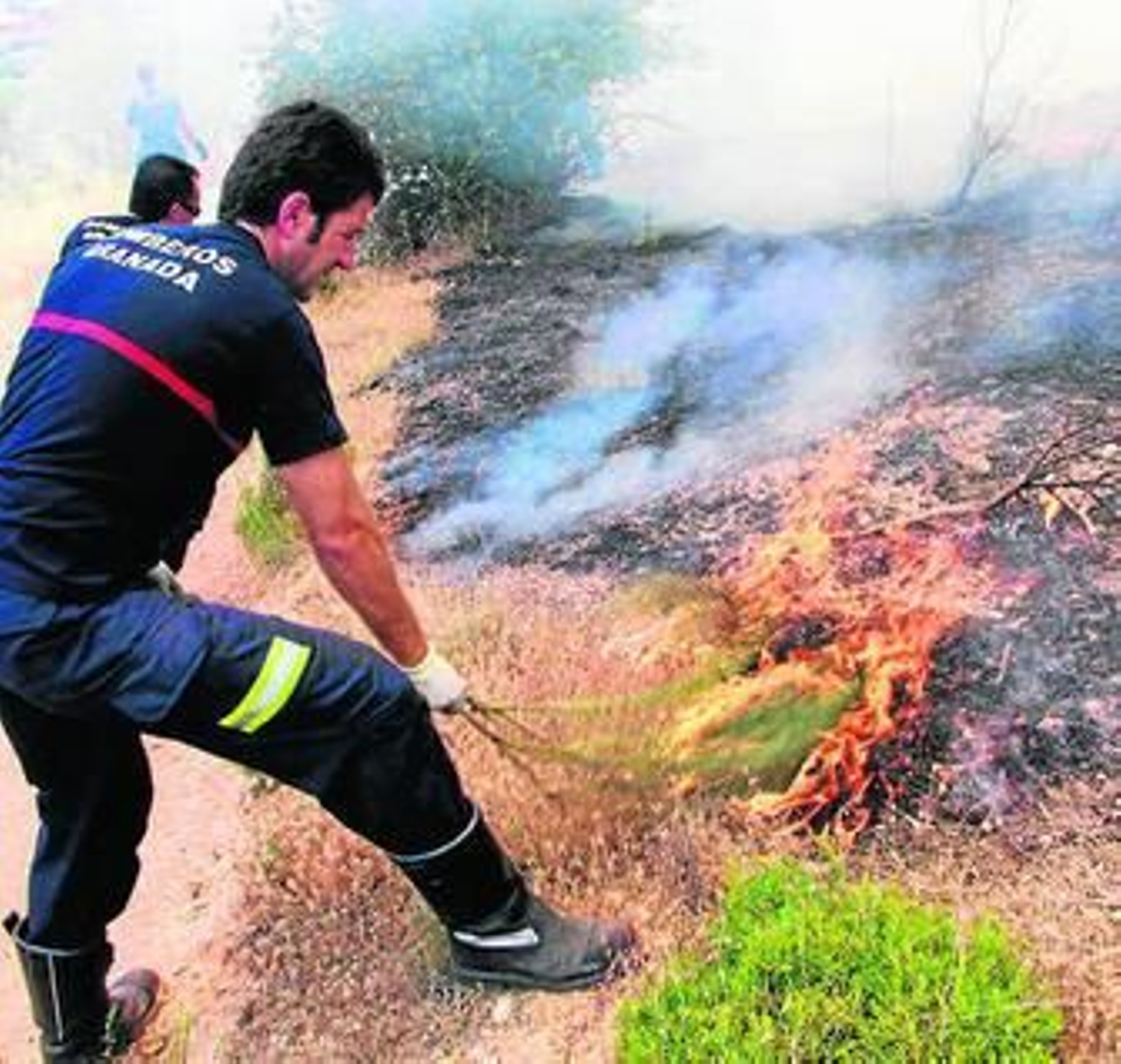 La limpieza de los matorrales es fundamental para prevenir los posibles fuegos.