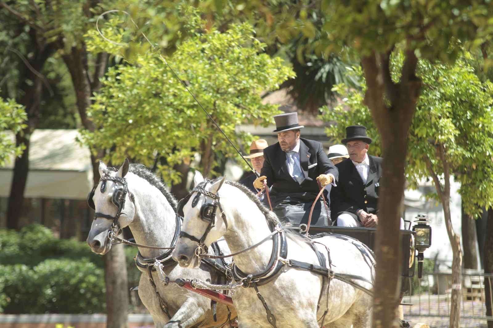 Los mejor del Concurso Internacional de enganches de Sevilla