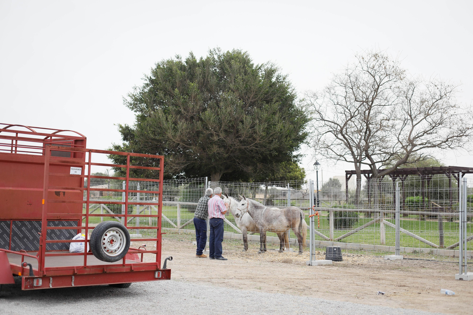 Galería de la Feria  de ganado en Tarambana