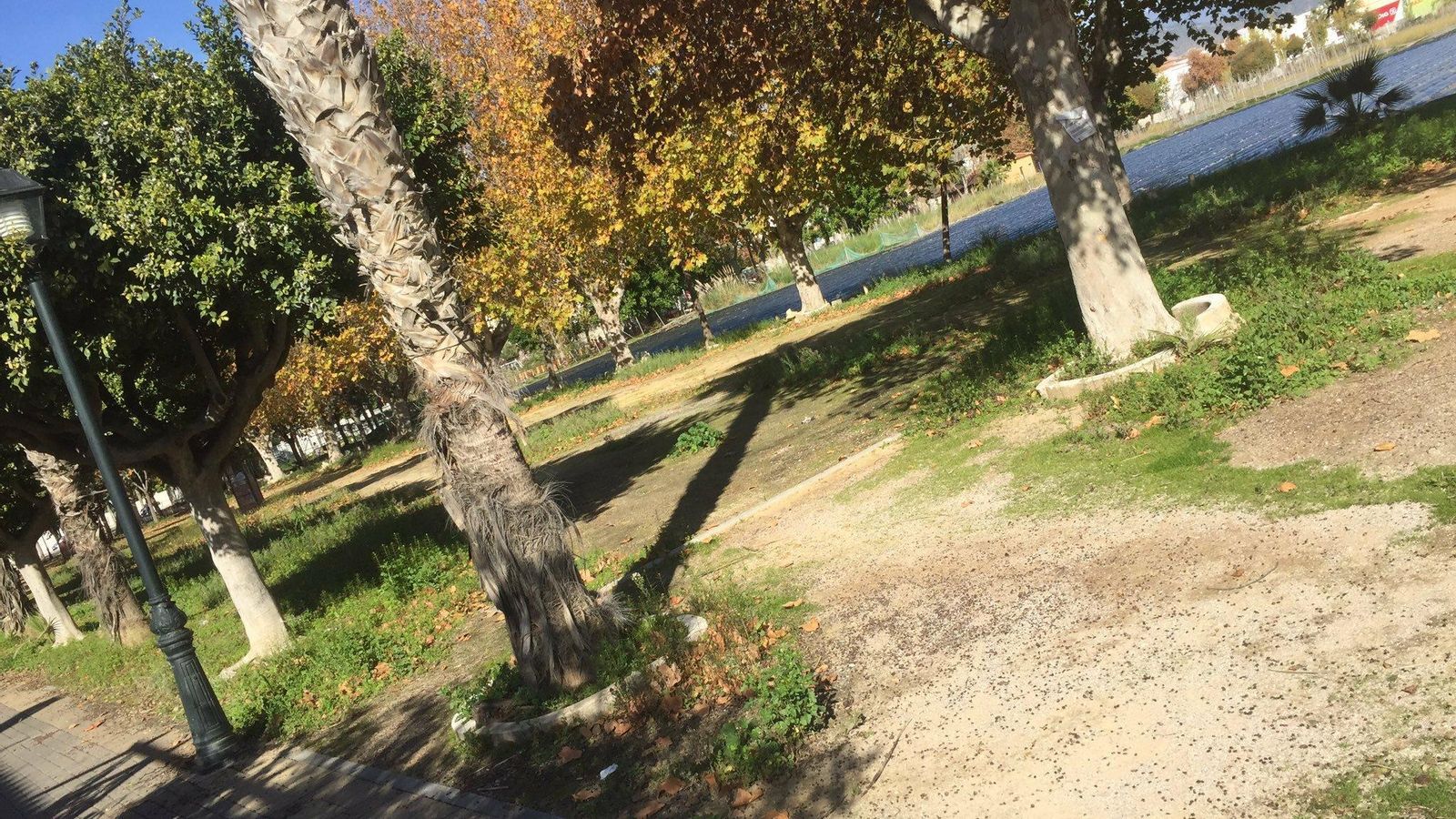 Estado en el que se encontraba el albero que separa el parque y la urbanización a finales del 2018