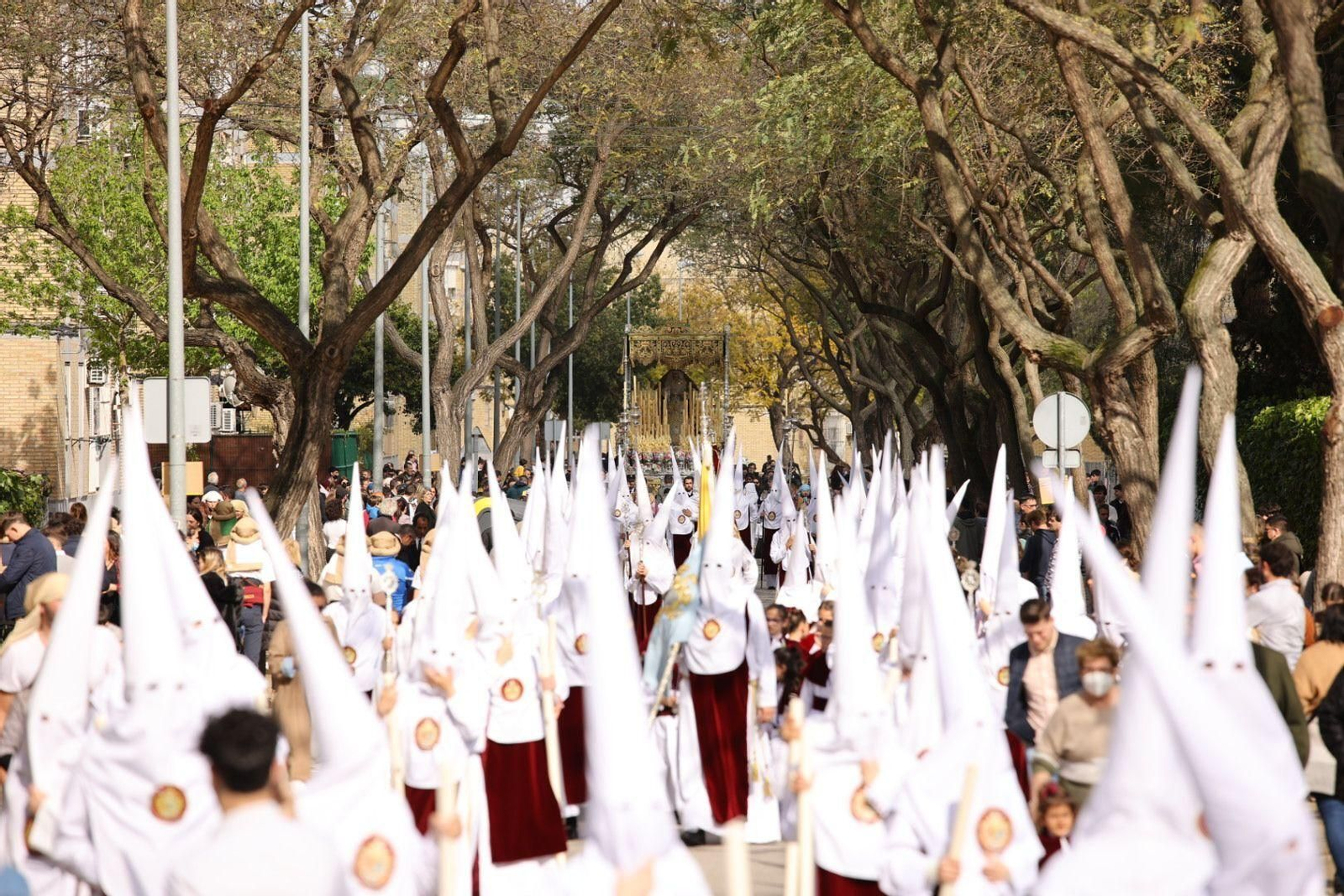 Imágenes de la hermandad de la Clemencia