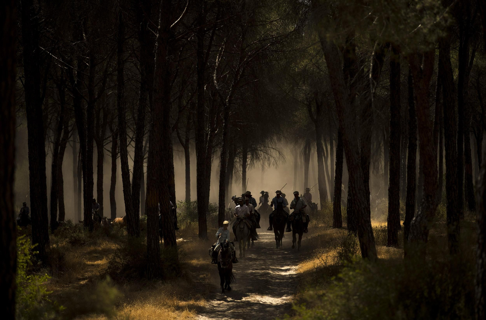 La Saca de las Yeguas, en imágenes