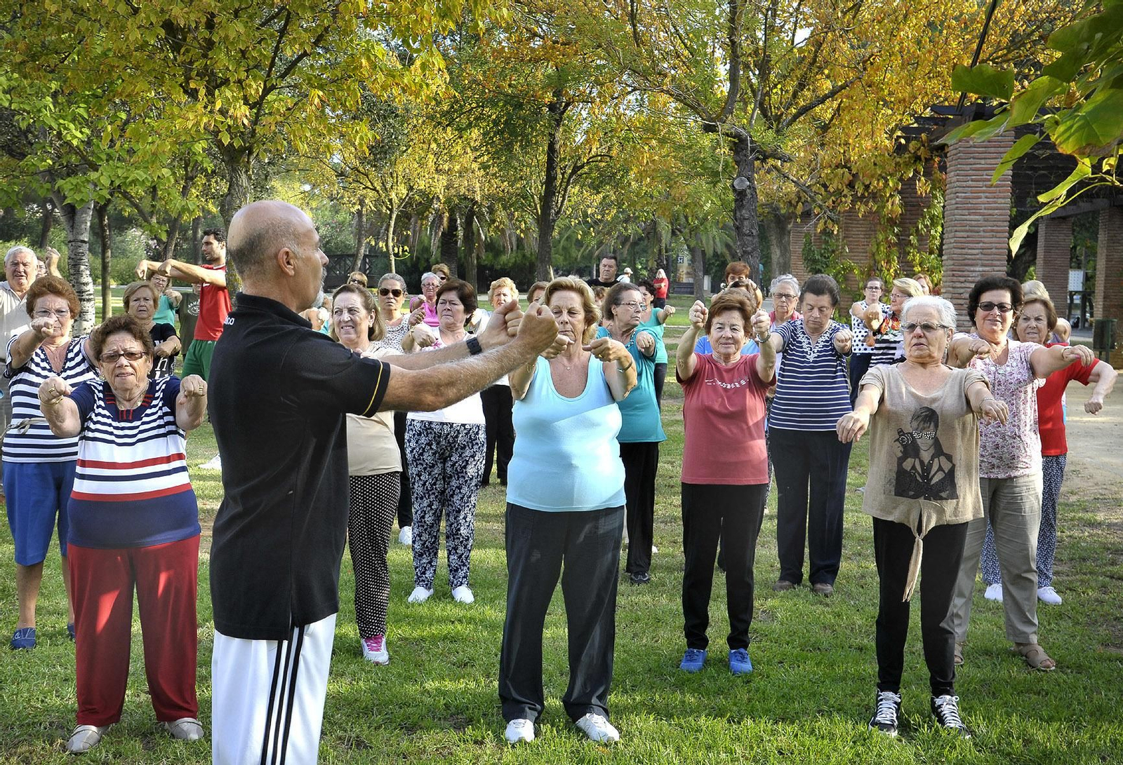 La gerontogimnasia forma parte de la programación de Autonomía Física y Funcional.