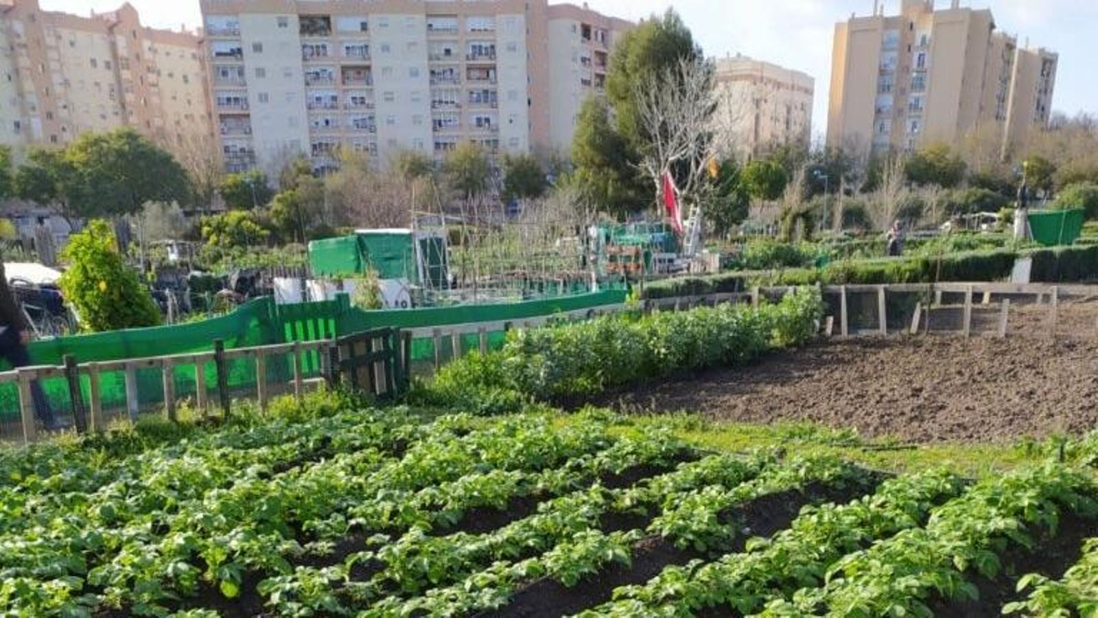 Parque de Miraflores