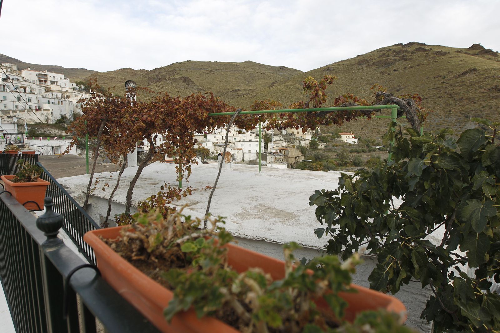 Fotogalería Fiestas Moros y Cristianos de Olula de Castro