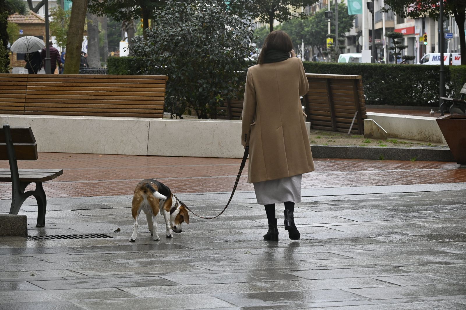 Imágenes del lunes 6 de Marzo en Huelva