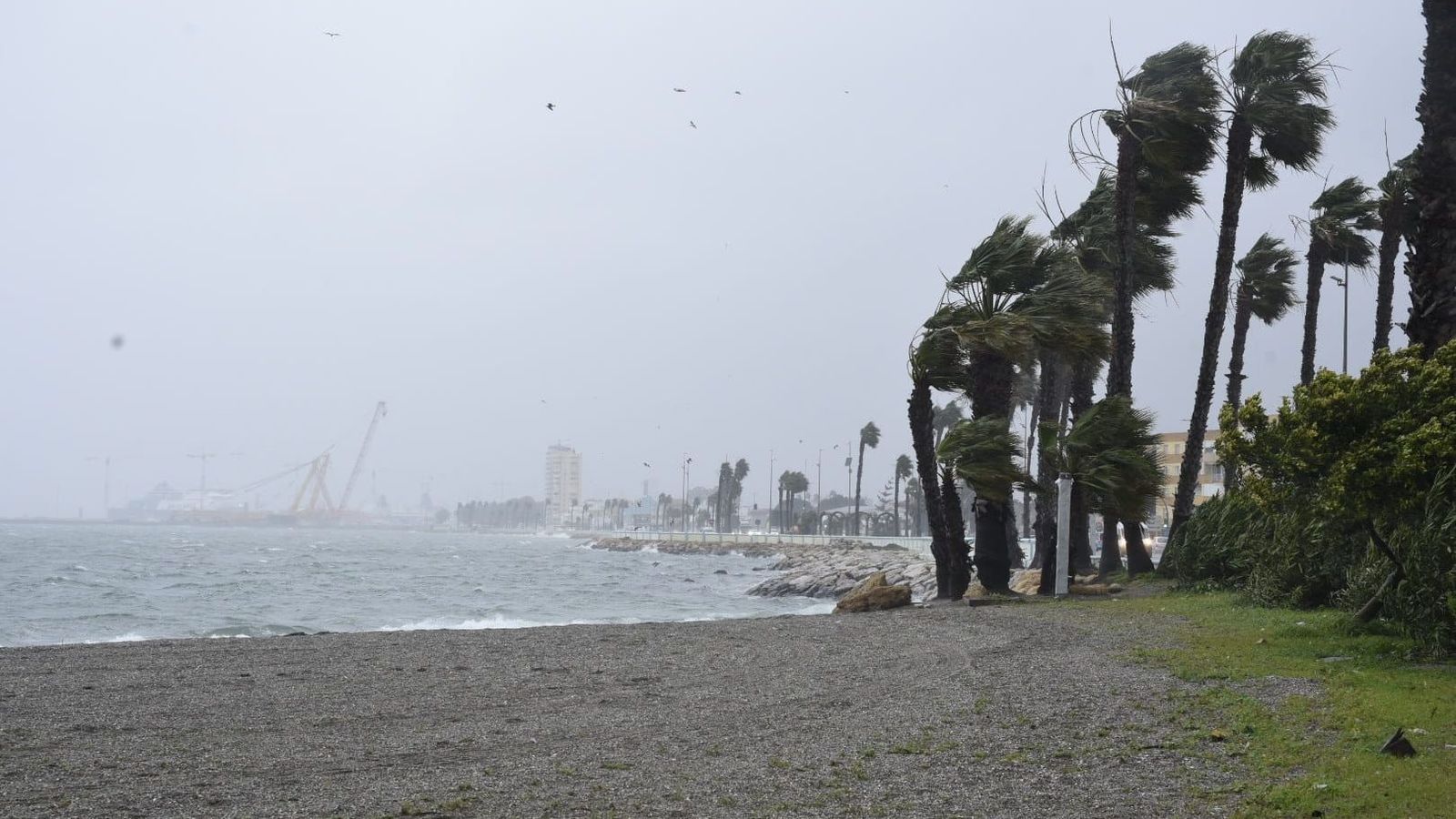 Desde la playa de Poniente de La Línea se aprecia un intenso oleaje y condiciones adversas en la mar, este martes a primera hora.