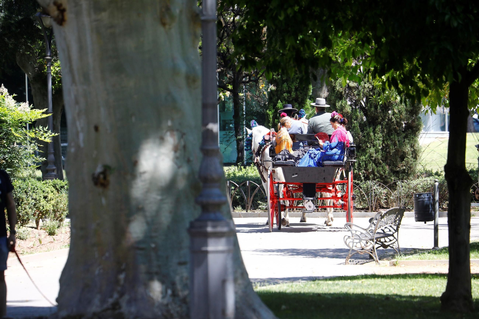 La exhibición de carruajes de tradición Nuestra Señora de la Salud, en imágenes