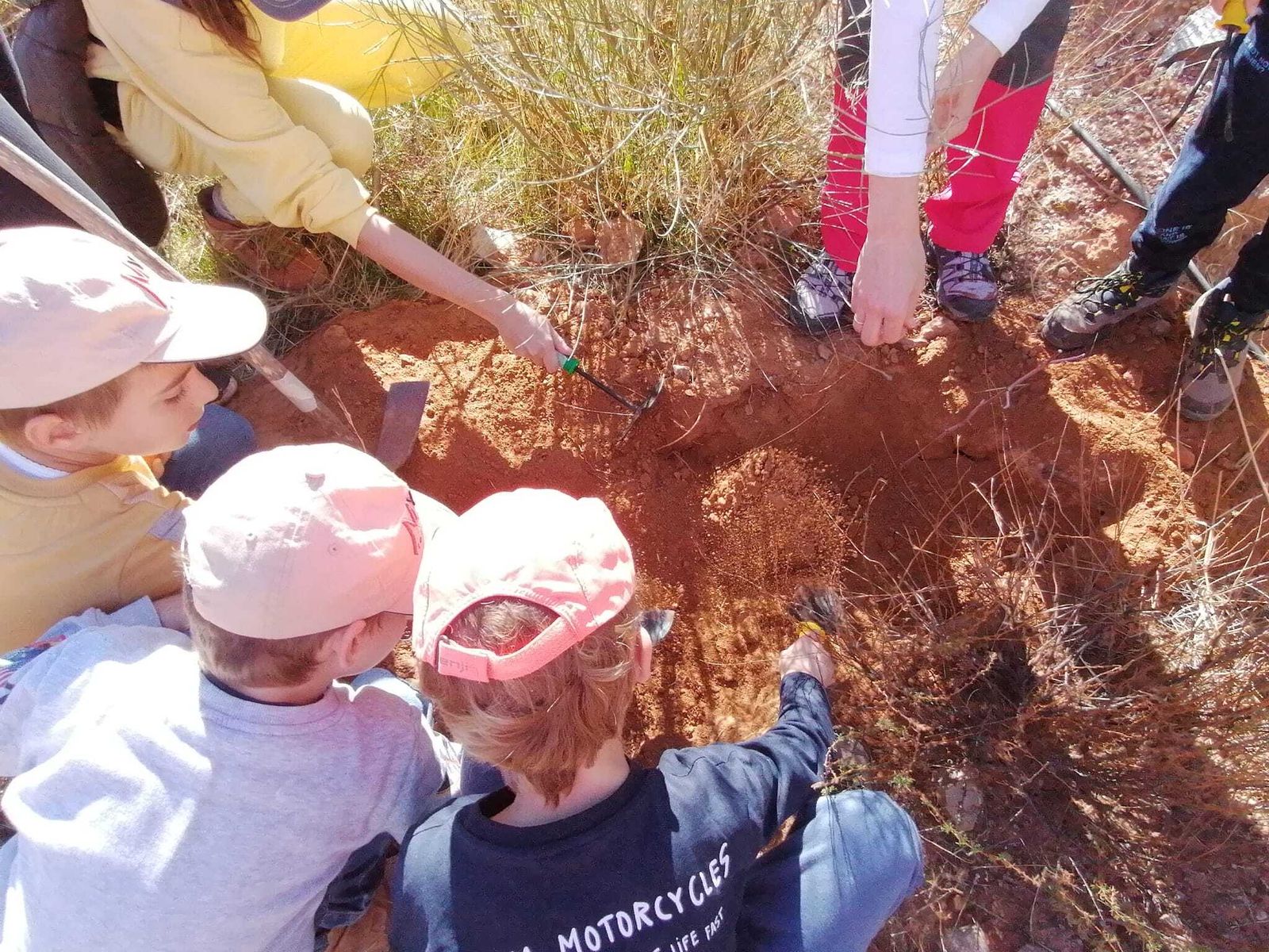 Momento de la plantación.