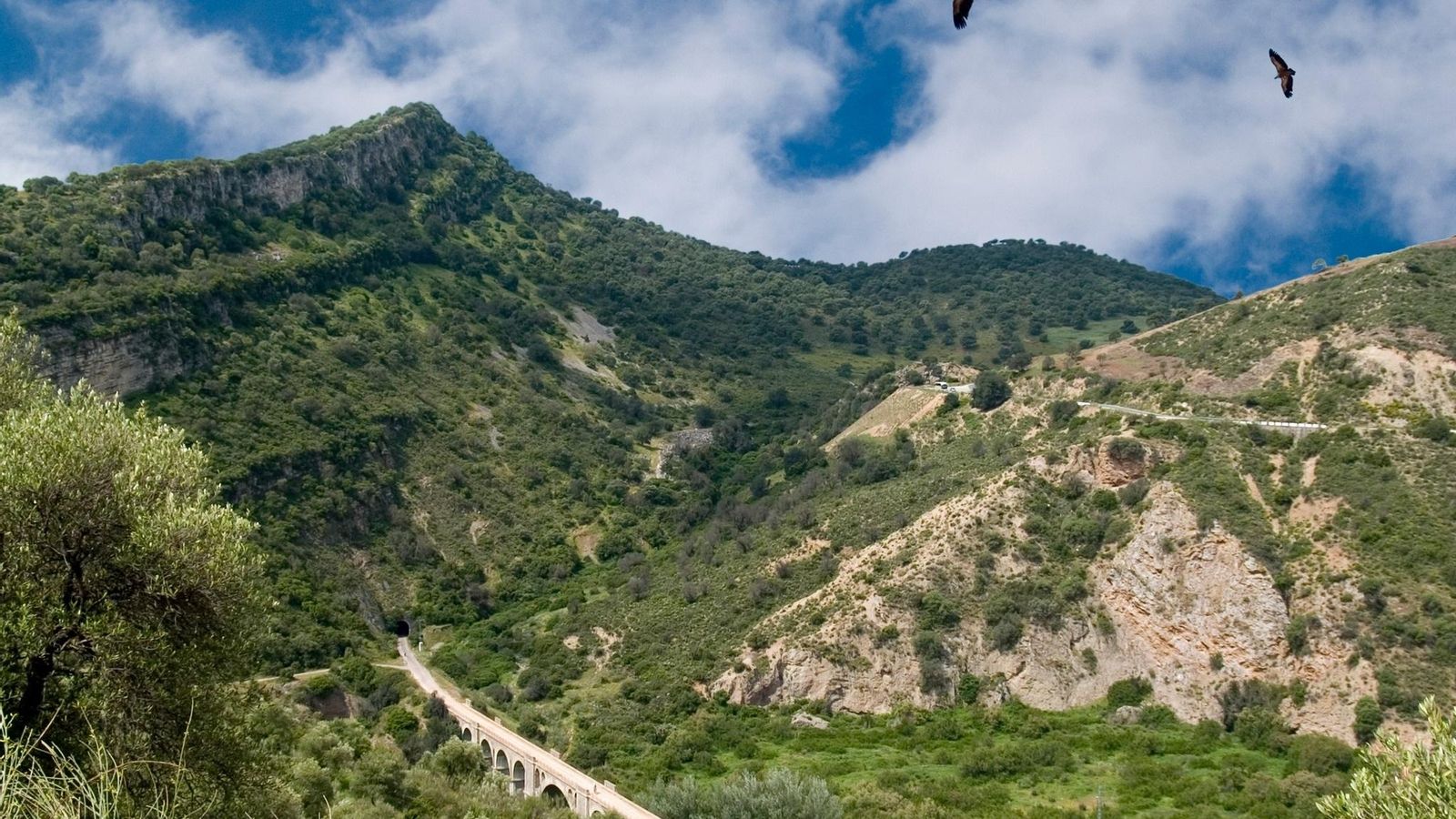 Un paisaje montañoso, su trazado ferroviario y la presencia de aves rapaces hacen de este recorrido uno de los más bellos de la sierra de Cádiz