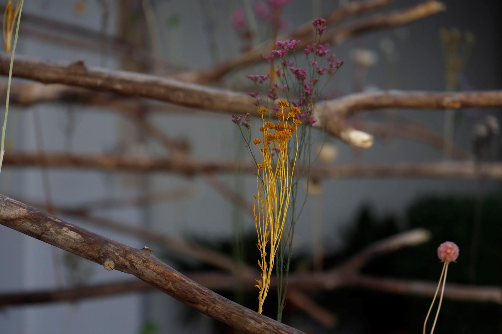 Las creaciones de los artistas de Flora, en imágenes