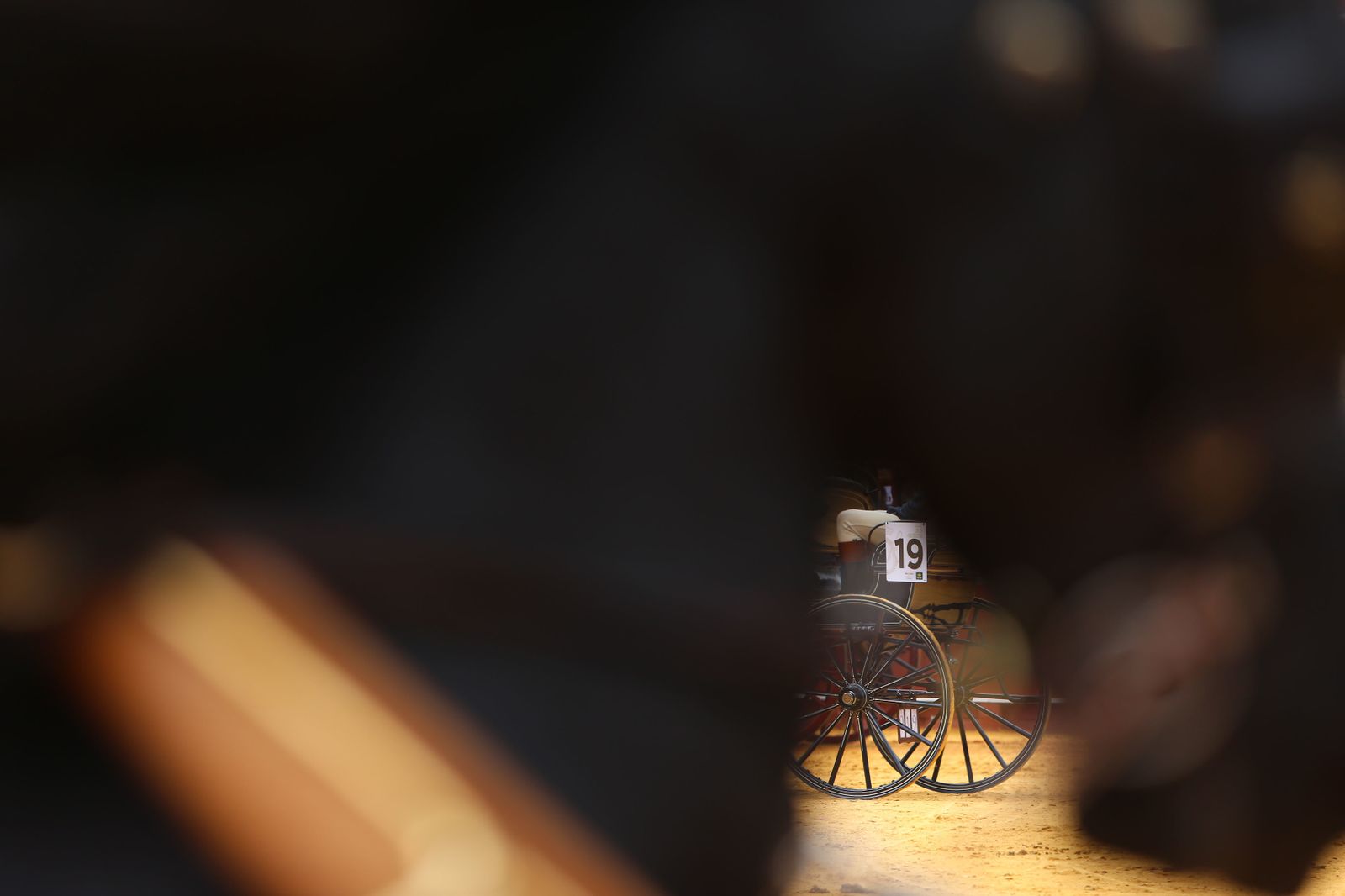 XXXIII Exhibición del Real Club de Enganches de Andalucía en la Maestranza