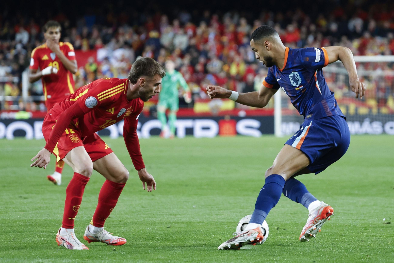 Las mejores fotos del España - Países Bajos