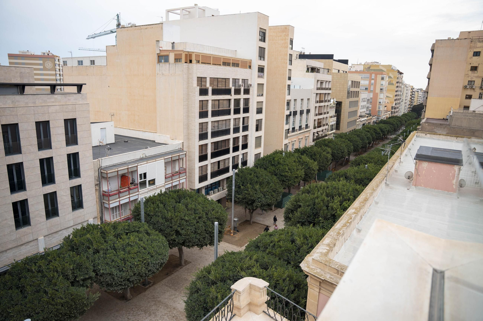 Las imágenes de las obras del paseo de Almería