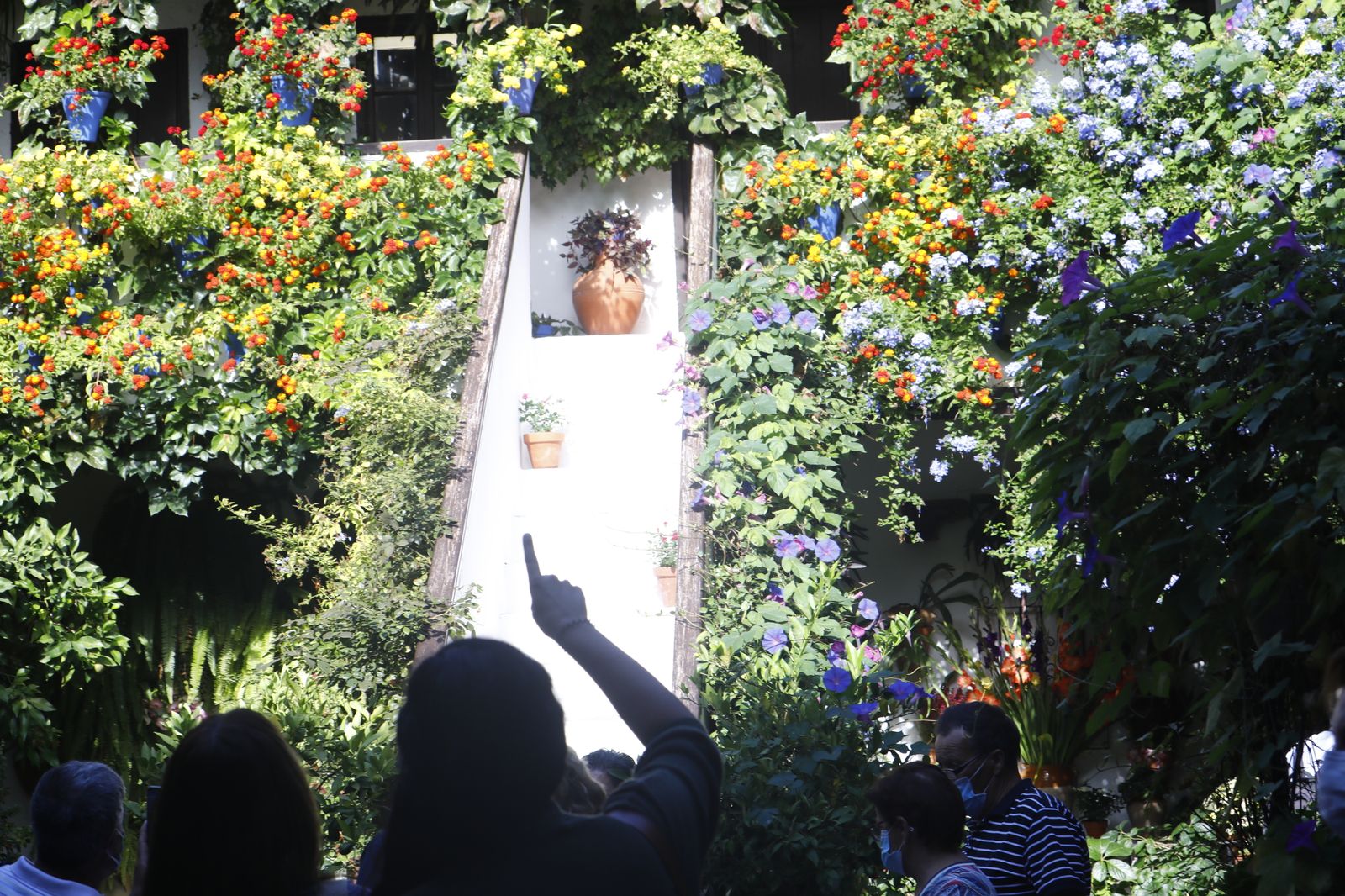 Las fotografías del primer día de apertura de los Patios de Córdoba en otoño