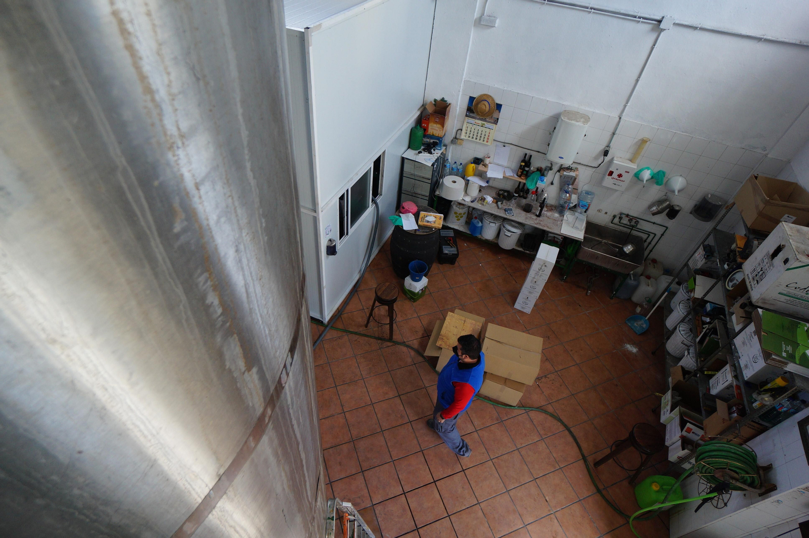 Un recorrido en fotografías por el vino nuevo de Moriles