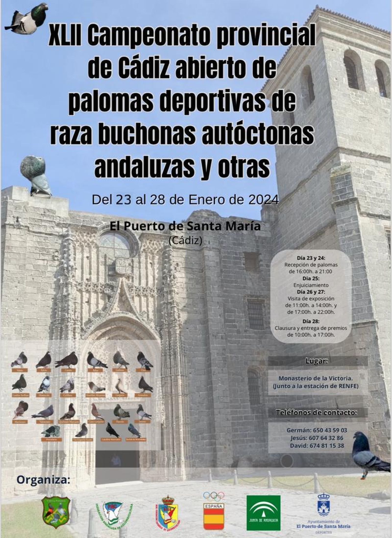 El Monasterio de la Victoria acogerá el XLII Campeonato Provincial de Palomos Deportivos.